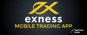 If Exness Is Illegal 24